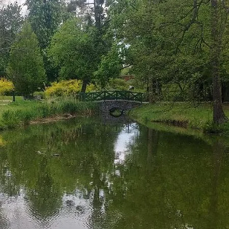 Daire Wierzyca Pelplin